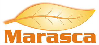 Marasca